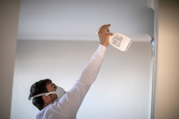 Best Professional Mold Removal  in Choctaw, OK