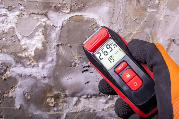Best Residential Mold Removal  in Choctaw, OK