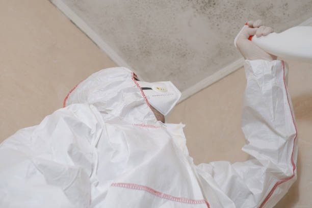 Mold Removal and Inspection in Choctaw, OK