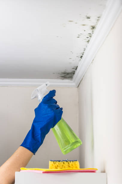  Choctaw, OK Mold Removal Pros